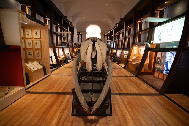 L’arca delle Esplorazioni