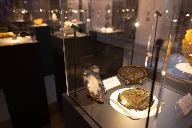 La sala delle meraviglie