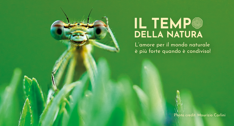 Camera_Contest2000x1080