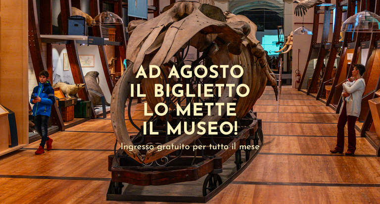 MRSN_AGO25Agosto_Museo_ok