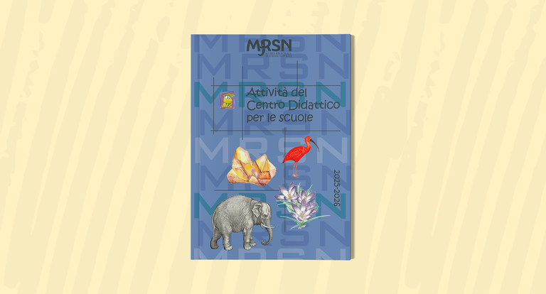 Quaderno didattico sito