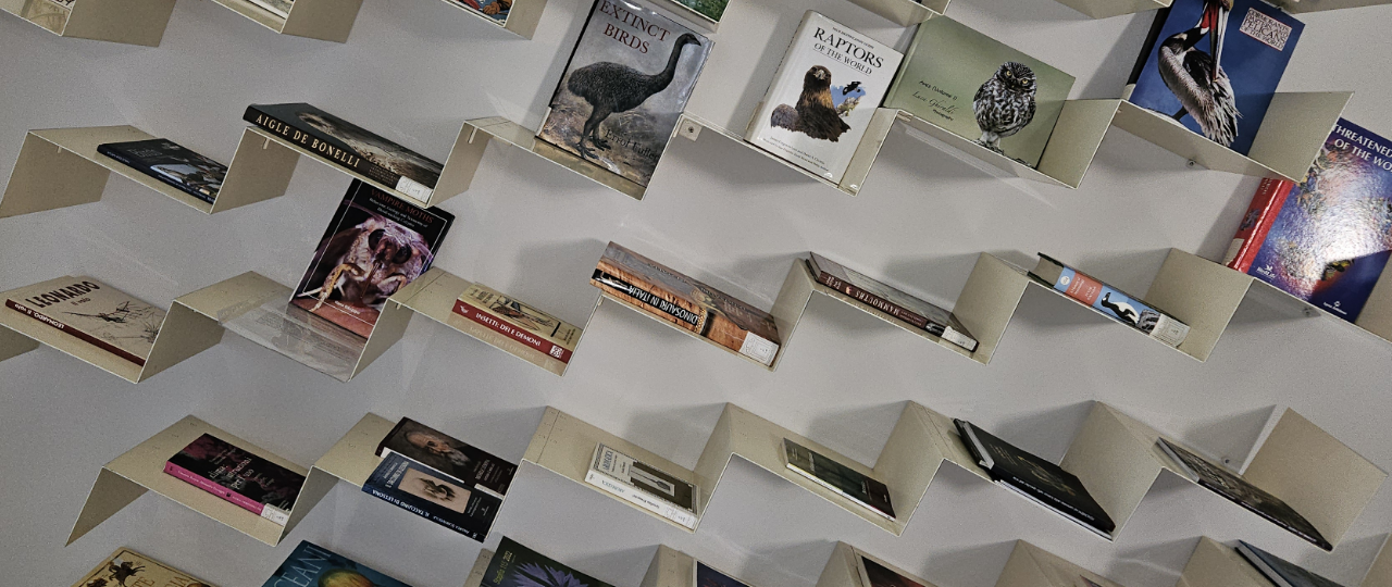 SLIDESHOW-BIBLIOTECA – 3