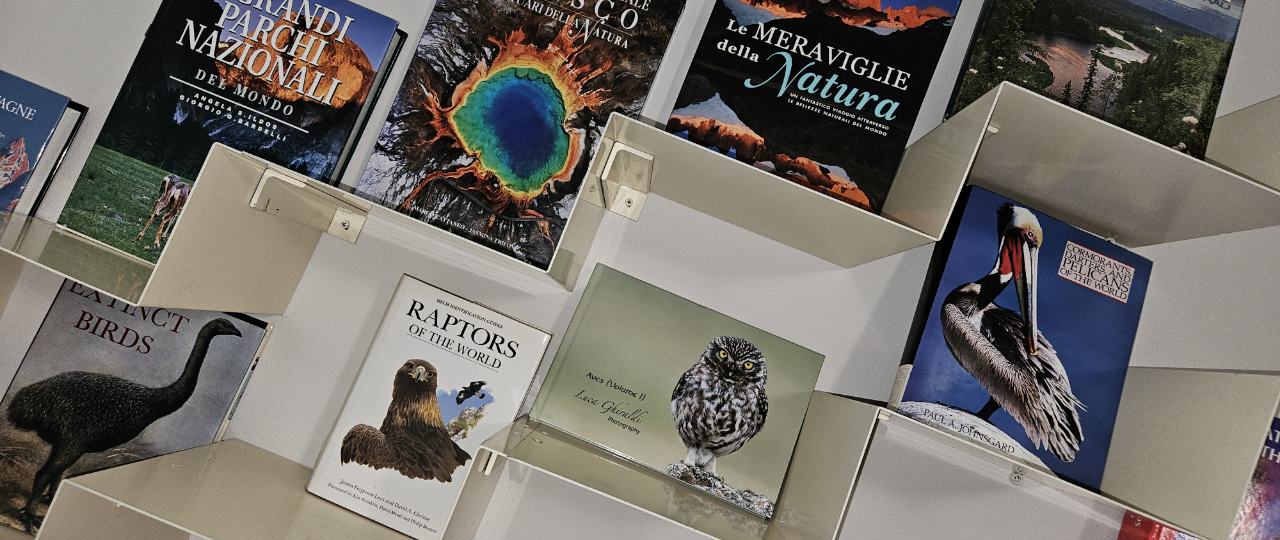 SLIDESHOW-BIBLIOTECA – 4