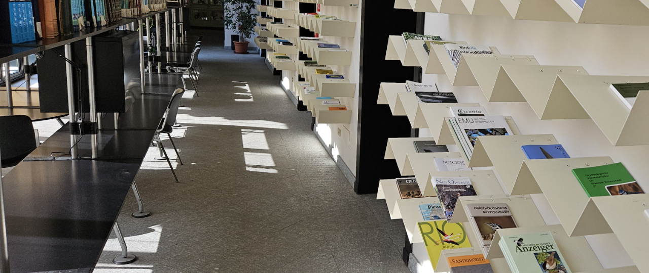 SLIDESHOW-BIBLIOTECA – 5