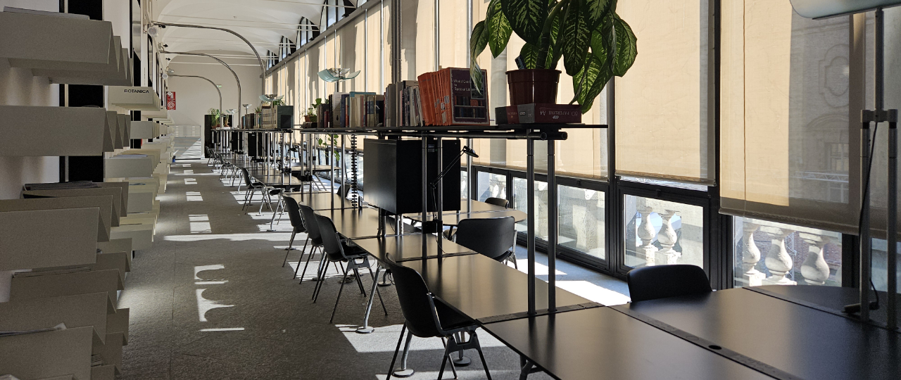 SLIDESHOW-BIBLIOTECA – 6