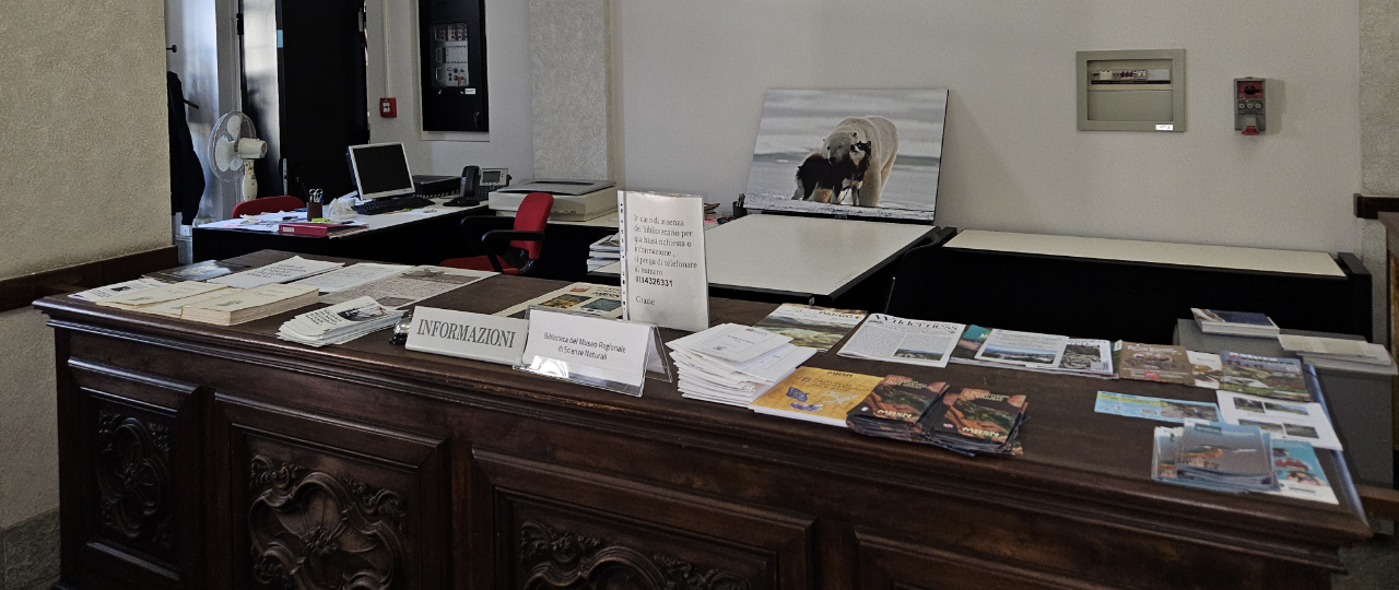 SLIDESHOW-BIBLIOTECA – 8