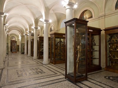 Sala principale.