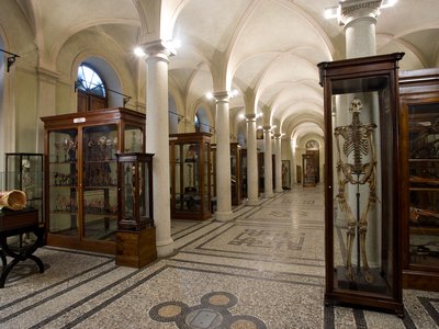 Sala principale.