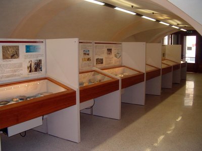 Vetrine dell'esposizione | Foto di Simone Lerma.