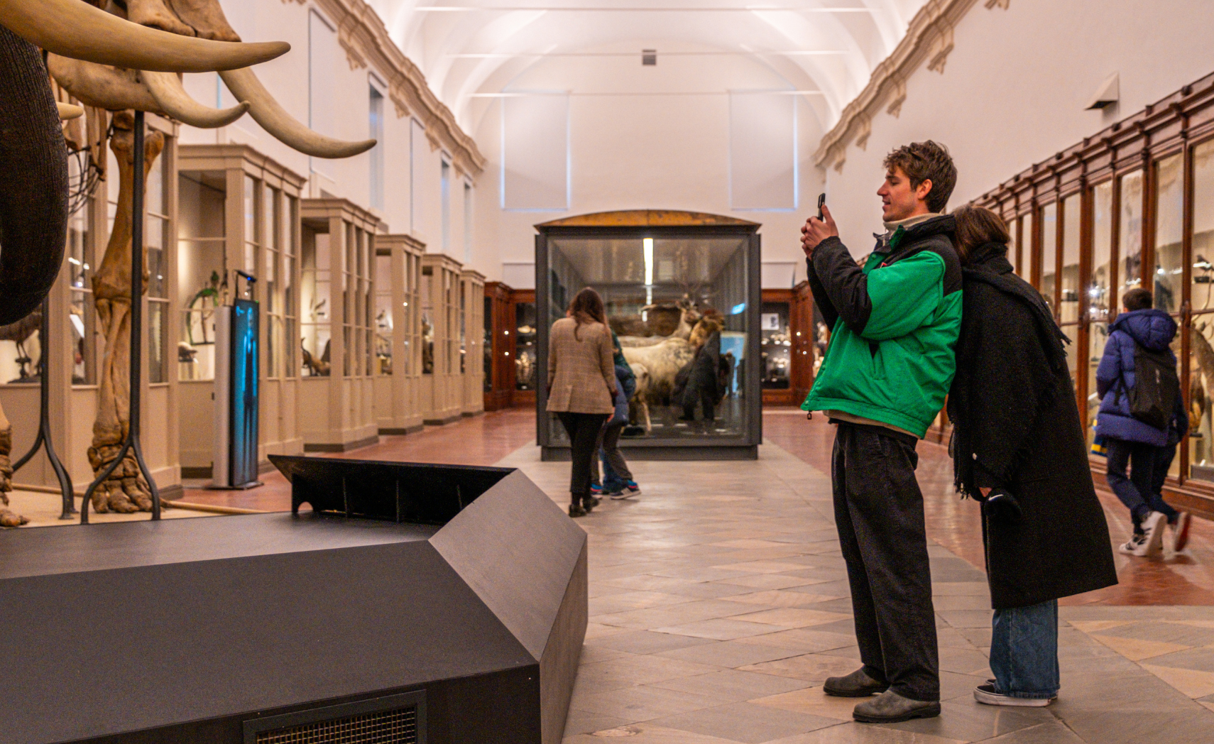 descrizione immagine