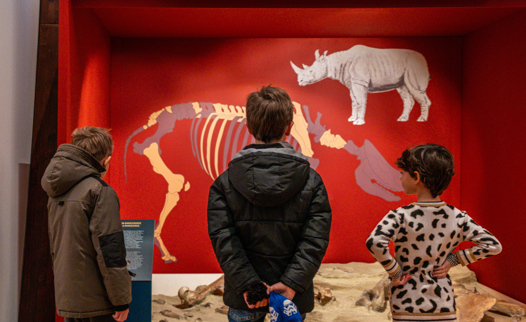 descrizione immagine