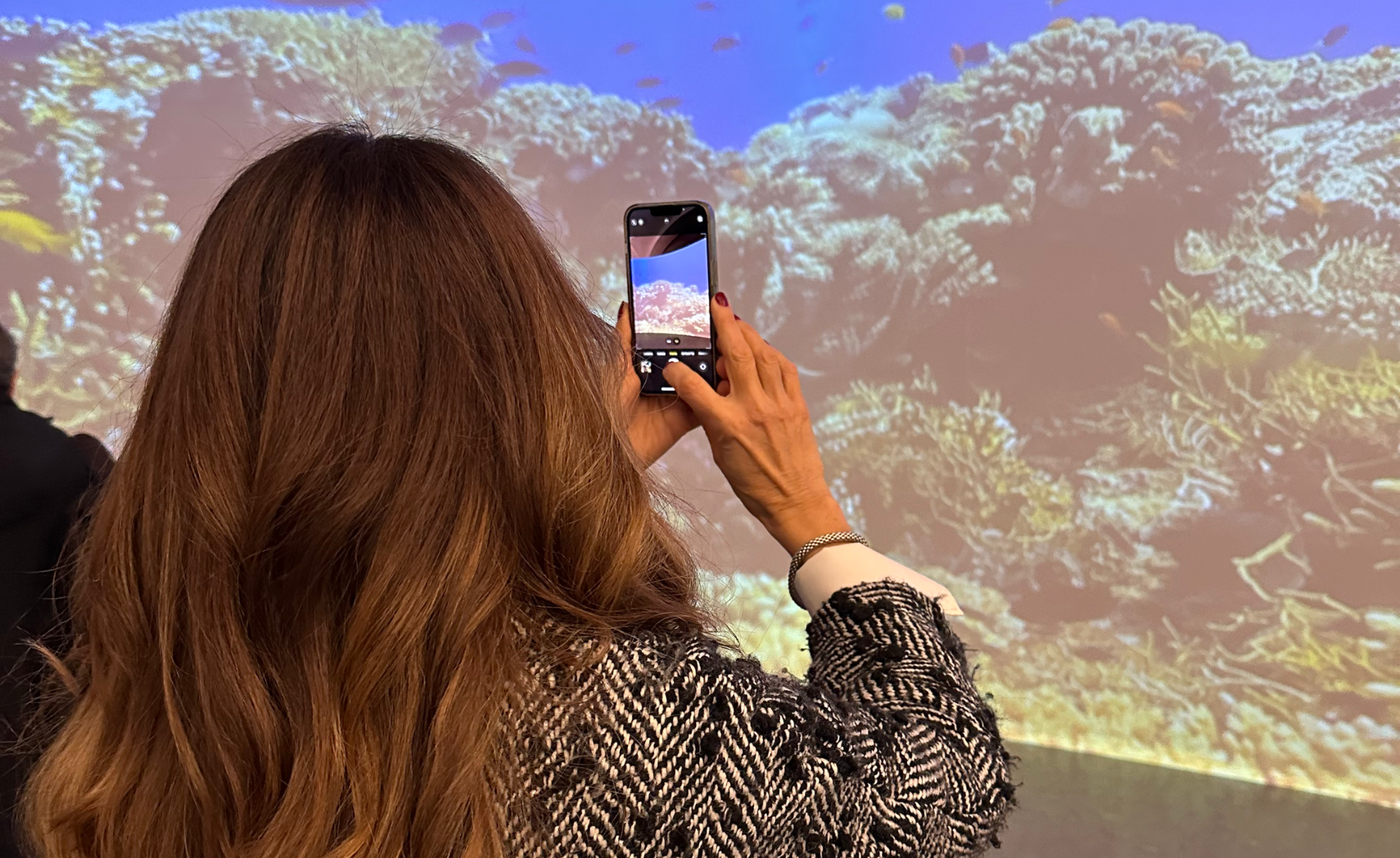 descrizione immagine