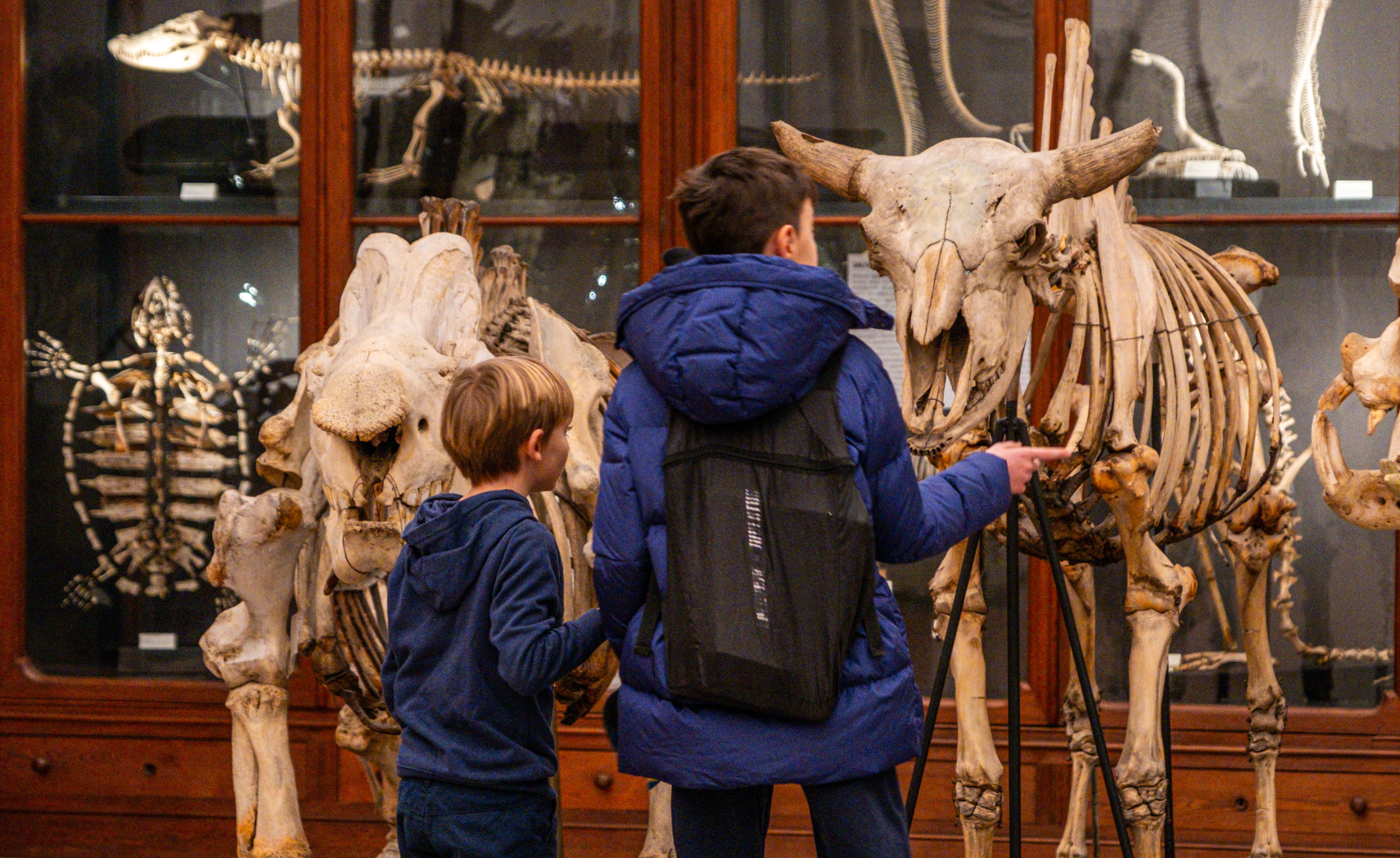 descrizione immagine