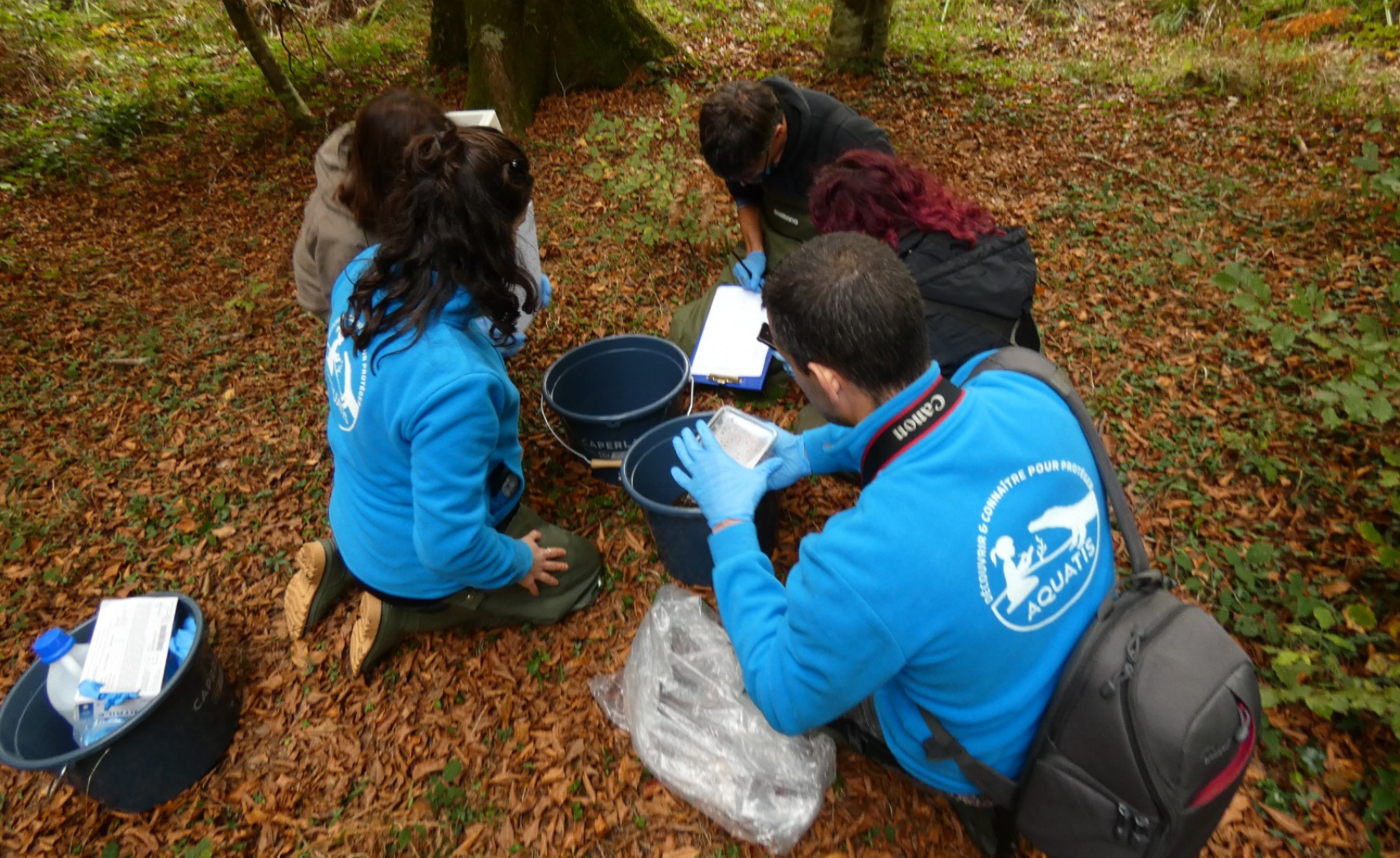 descrizione immagine