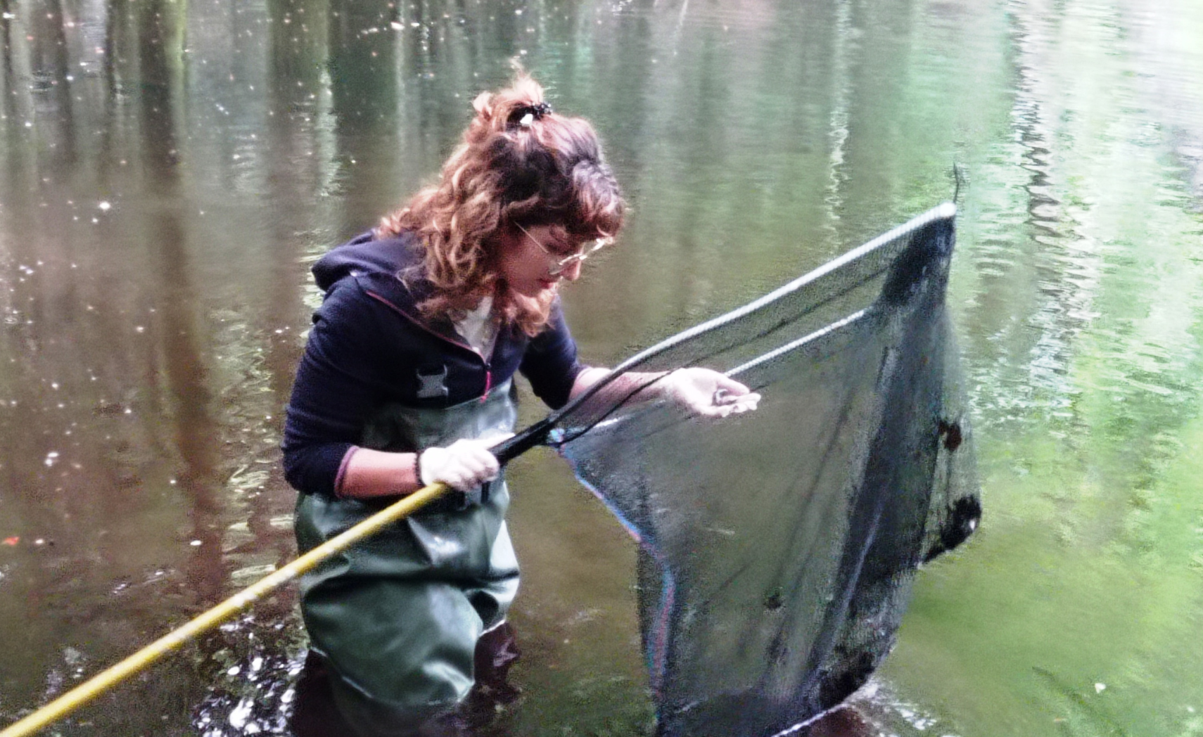 descrizione immagine