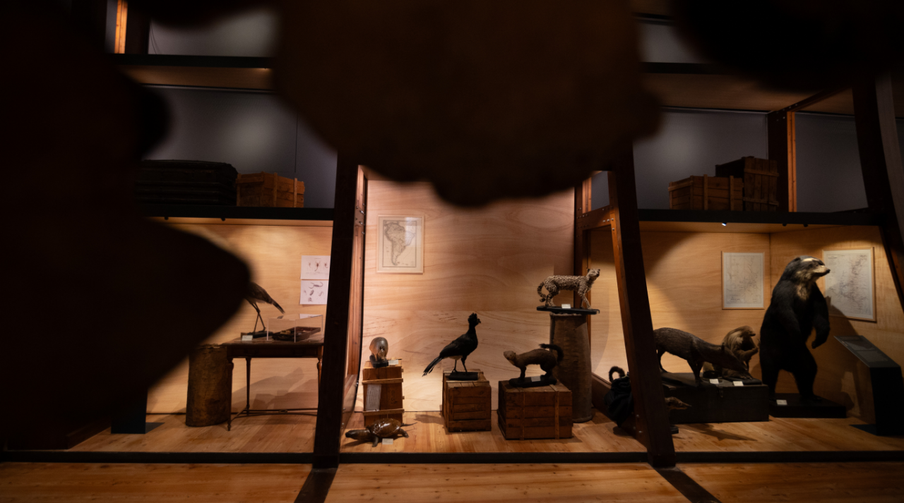 L'area museale "Arca"