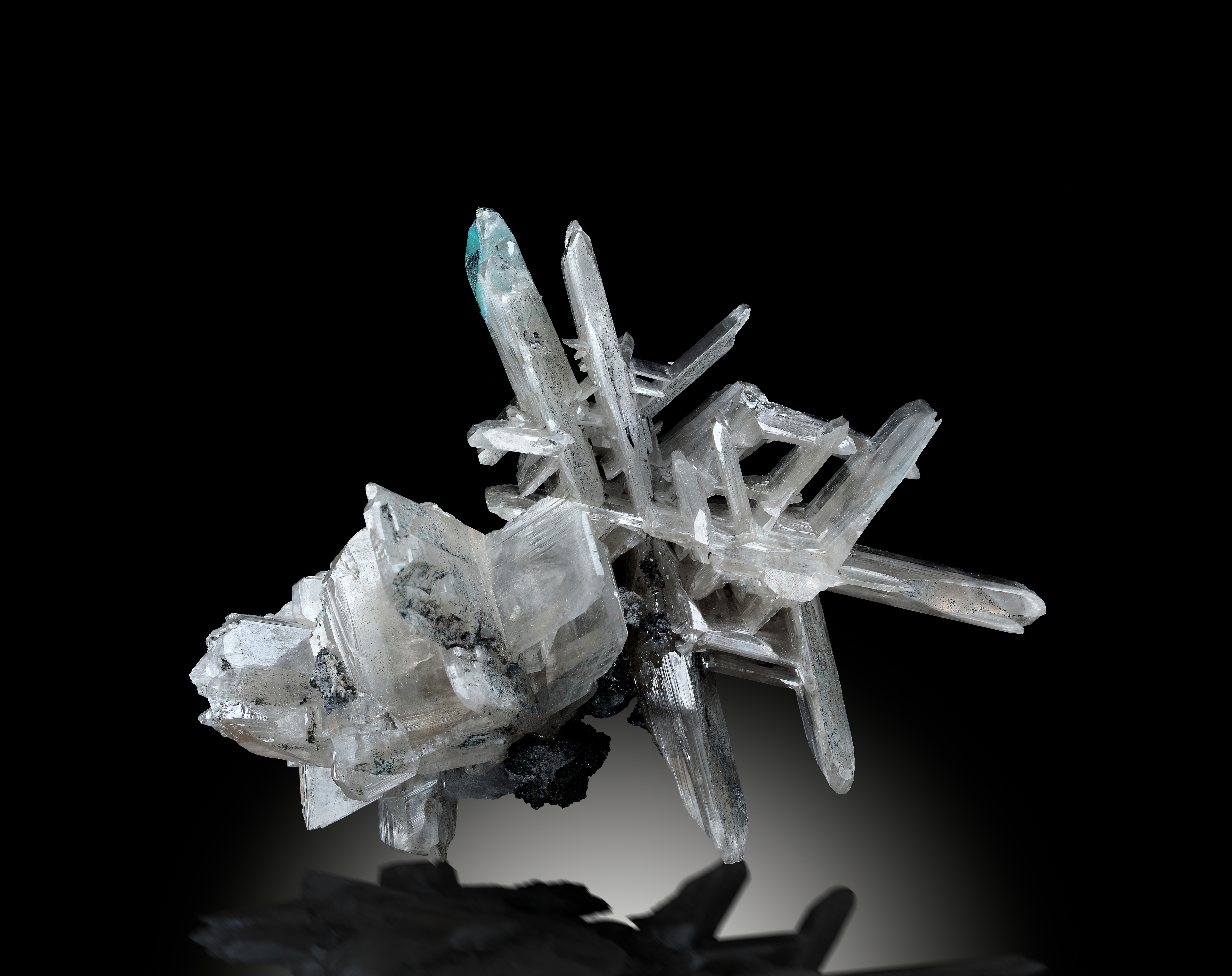 descrizione immagine