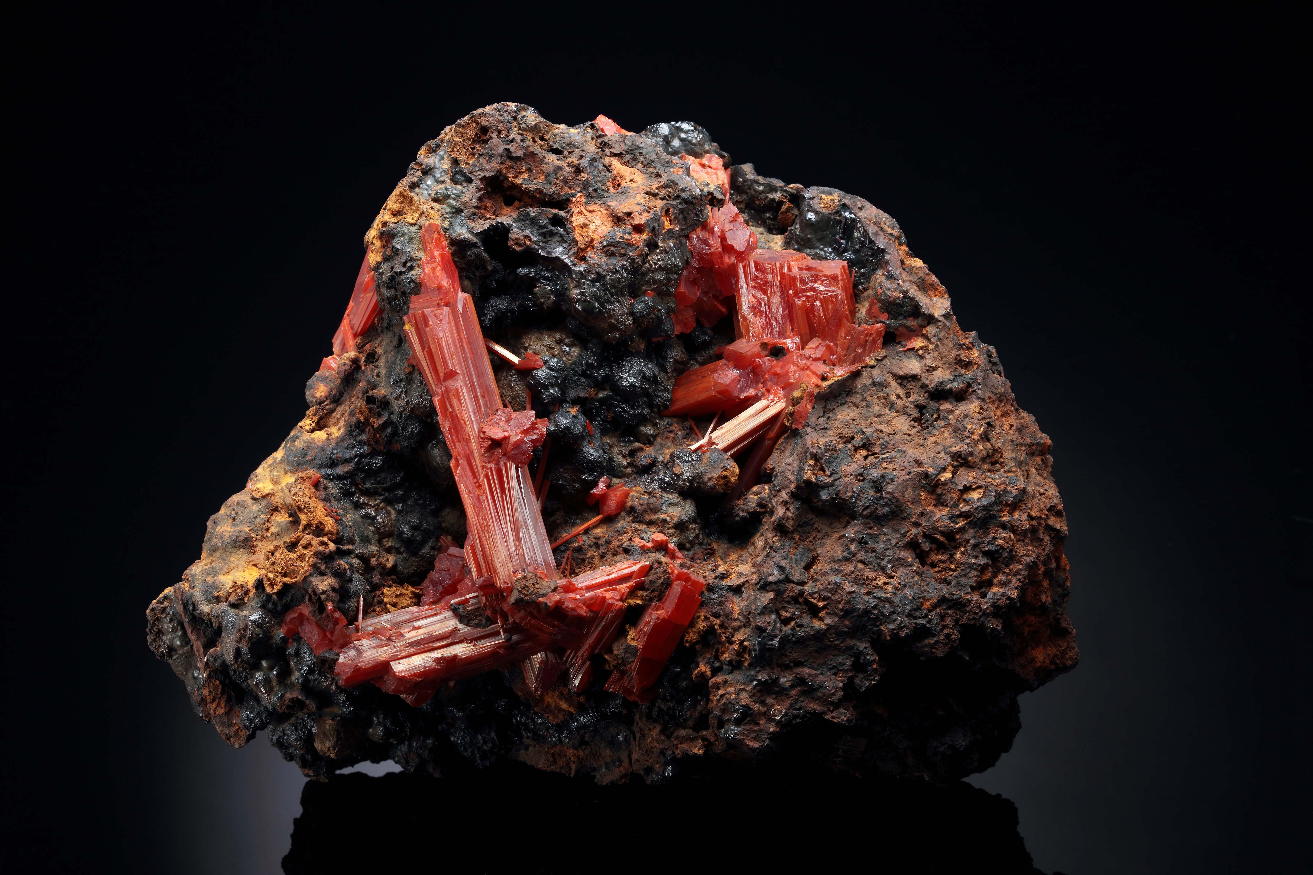 descrizione immagine