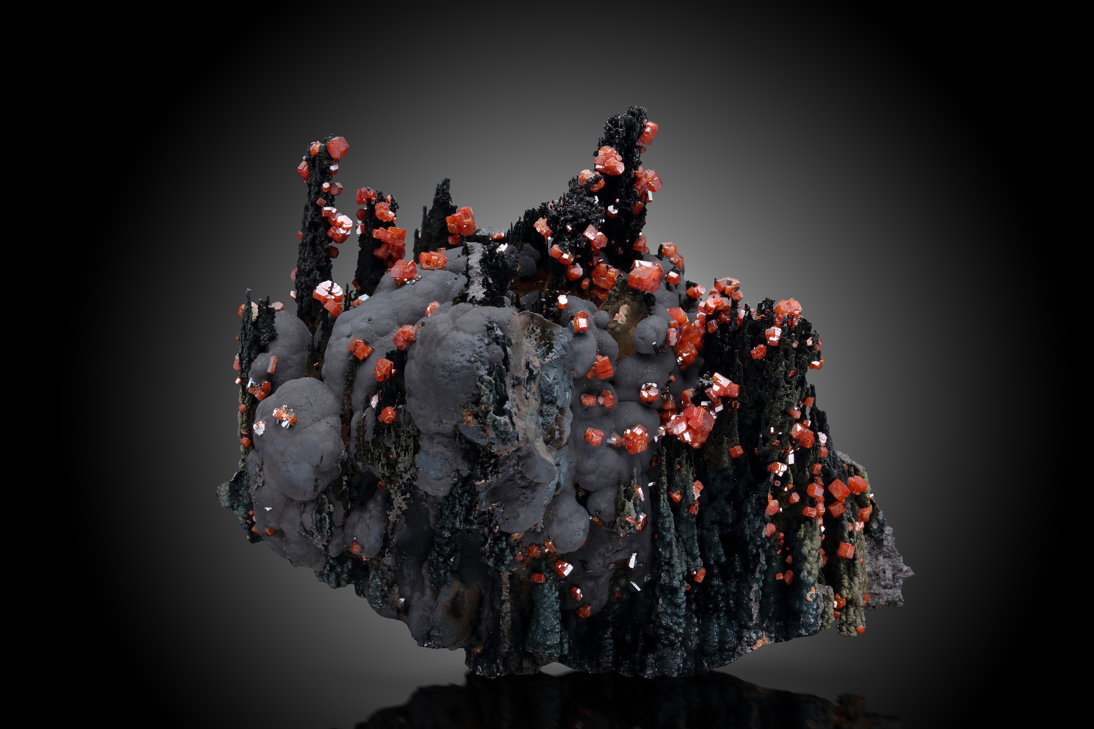 descrizione immagine